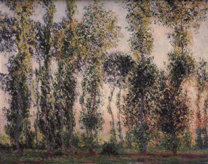 Claude Monet Poplars at Giverny